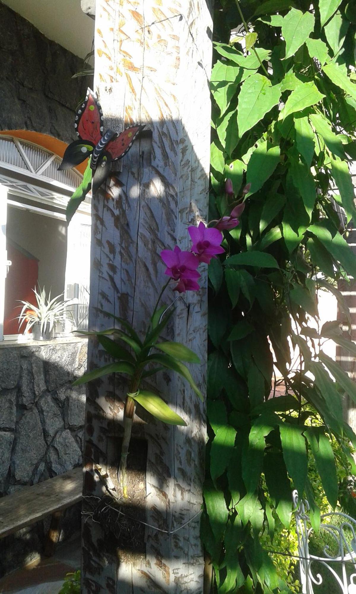 Pouso Mariazinha Hotel Tiradentes Ngoại thất bức ảnh